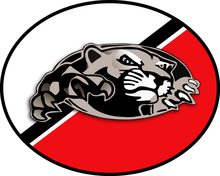 Manchester Panthers's avatar